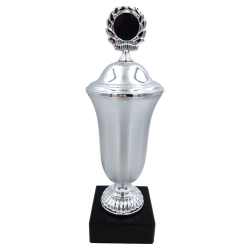 Vandrepokal 25,50 cm med slv top