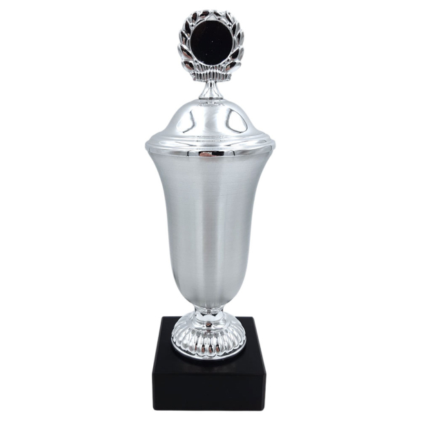 Vandrepokal 25,50 cm med slv top