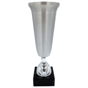 Vandrepokal 30 cm 100 m. slv fod