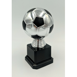 Flot fodbold pokaltrof i slv