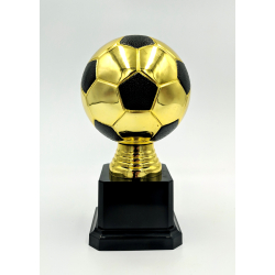 Flot fodbold pokaltrof� i guld
