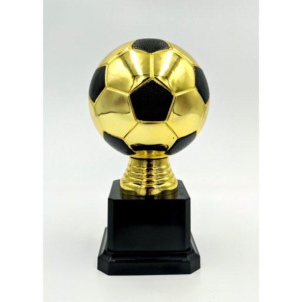 Flot fodbold pokaltrof� i guld