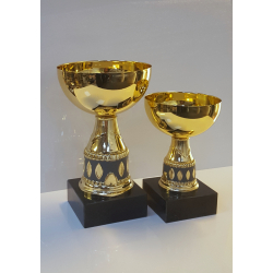 Guld pokal i 2 strrelser 