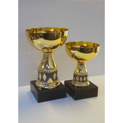 Guld pokal i 2 strrelser 