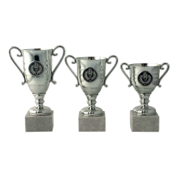 Lille Slv Pokal  Perfekt til Store Prstationer