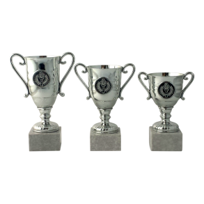 Lille Slv Pokal  Perfekt til Store Prstationer