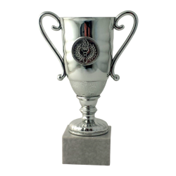 Lille Slv Pokal  Perfekt til Store Prstationer