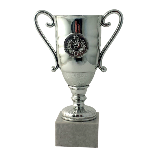 Lille Slv Pokal  Perfekt til Store Prstationer