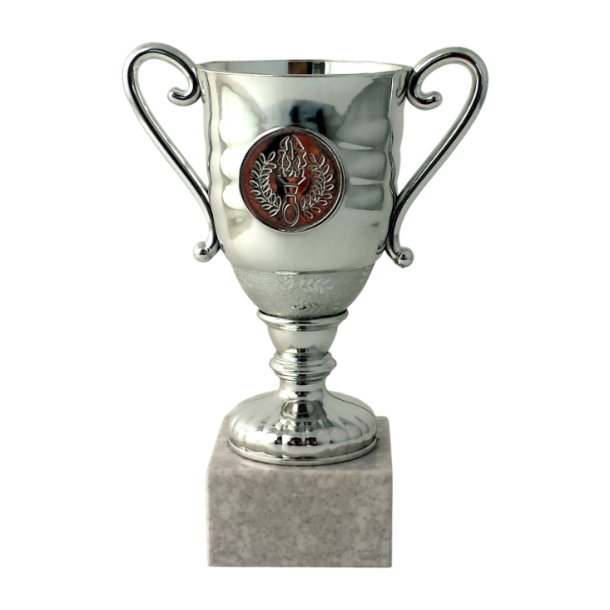 Lille Slv Pokal  Perfekt til Store Prstationer