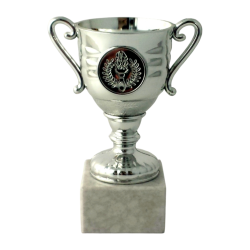 Lille Slv Pokal  Perfekt til Store Prstationer