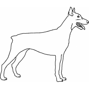 Dobermann - her vogter jeg skilt