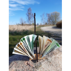 Pengefugl 3D  Pfugl i ahorntr med hale fuld af overraskelser