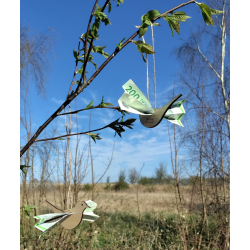 Pengefugl i ahorn  Gaven der giver vinger