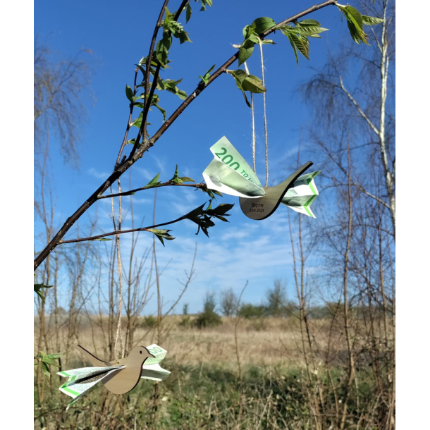 Pengefugl i ahorn  Gaven der giver vinger