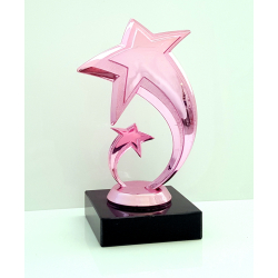 Pink Stjerne pokal