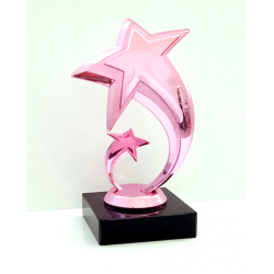 Pink Stjerne pokal