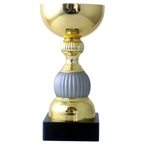 Elegant Pokal med Guld & Mat Slv  Perfekt til Sportsprmier