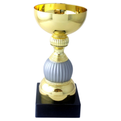 Elegant Pokal med Guld &amp; Mat Slv  Perfekt til Sportsprmier