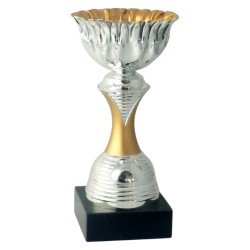 Pokal Slv med Matguld  Elegant Sportspris p 21,5 cm