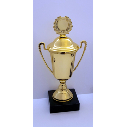 Elegant blank Guld eller Slv trof 24 cm med Top og lg