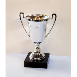 Elegant blank Guld eller Slv pokal 17 cm 