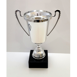 Elegant blank Guld eller Slv pokal 27 cm 