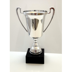 Elegant blank Guld eller Slv pokal 27 cm 