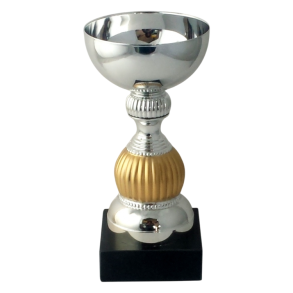 Elegant Pokal med Slv & Mat Guld  Perfekt til Sportsprmier