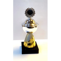 Pokal slv med guld/mat slv fod - 20 cm