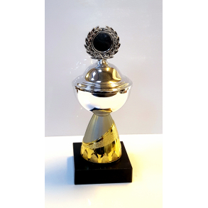 Pokal slv med guld/mat slv fod - 20 cm