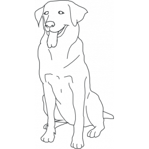 Retriever - her vogter jeg skilt