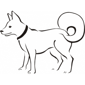 Hund med busket hale - her vogter jeg skilt