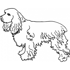 Sd cocker - her vogter jeg skilt