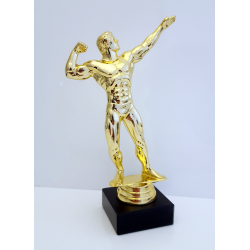 Strk mand - bodybuilder