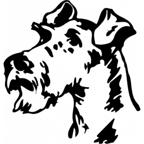 Terrier - her vogter jeg skilt