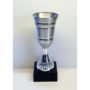 Aluminium pokal Deko 20,5 cm