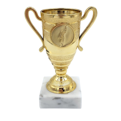 Lille guldpokal  Nr du vil fejre stort i lille format