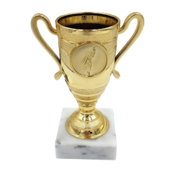 Lille guldpokal  Nr du vil fejre stort i lille format