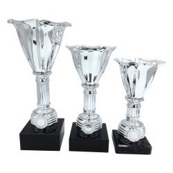 Tulipan pokalserie i s�lvlook til 1., 2. og 3. plads