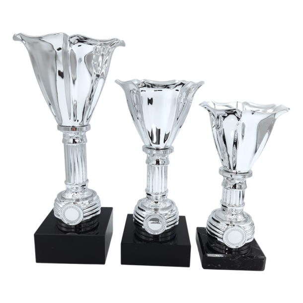 Tulipan pokalserie i s�lvlook til 1., 2. og 3. plads