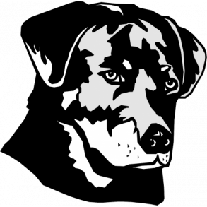 Rottweiler hoved - her vogter jeg skilt