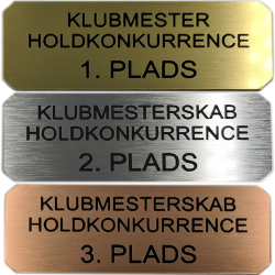 Sokkelskilt 25 x 65 mm- Guld - Slv - Bronze