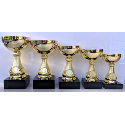 Elegant pokalserie i guld 1. - 5. plads