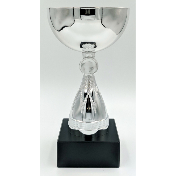 Moderne pokalserie i slv 1. - 7. plads