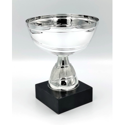Pokal med 140 mm slv skl