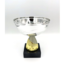 Pokal med stor slv skl 
