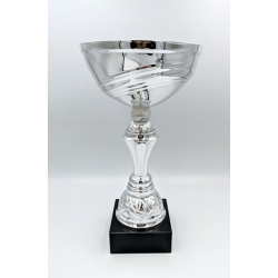 Pokal slv skl 30 cm